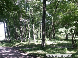 Blinstrubiskiu_a_rase_blins_056-35efd2fdebfe550222692a0ea08fa29c.JPG