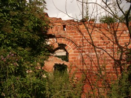 Branduoliskiu-Aukstojo-Gelgaudiskio_a_saki_bran_010-ba107a8488d0c327f545b674c136919d.JPG