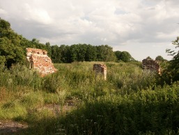 Branduoliskiu-Aukstojo-Gelgaudiskio_a_saki_bran_011-977b792a584e51d58107401415386842.JPG
