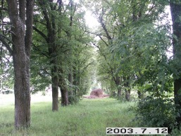 Buivydziu-I-Buivydziu-klebonijos_a_viln_buivydz_020-8f2ffb42bcf7b06ae727c29c27b66487.JPG