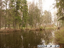 Burbiskio-1_a_radv_burb_060-9680753b4cc80463add8f73a1190ddf9.JPG