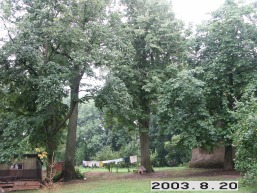 Daniunu_a_pasv_daniu_005-c606924ad0488f65aa623a2316bf573a.JPG