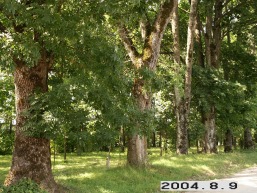 Darbenu_a_kret_darb_057-1aaeb185e6be810eabfa466d64235b6e.JPG