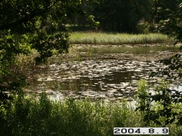 Darbenu_a_kret_darb_066-c3a59e118c81229779b3a9cfc3c1469a.JPG