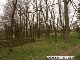 Dauboraiciu_a_radv_daub_054-38f5e7dcf45485c4a366533dcd2857b1.JPG