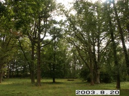 Daudzgiriu_a_birz_daudz_016-af791ca93f77c65e4676cc0065fe0509.JPG