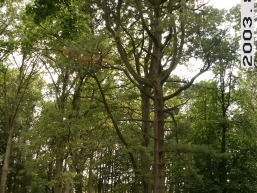 Daudzgiriu_a_birz_daudz_017-d3875ff372a88c4f2dbacdd9ea773df4.JPG
