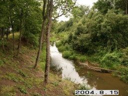 Daugeliu_a_jurb_daug_003-f5c36dd8460ce8b7ff0c25906c2b5807.JPG