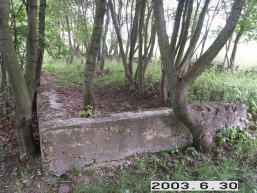 Daugirdiskiu_a_trak_daugird_082-57cc18e7981861a8410165a800026cc4.JPG