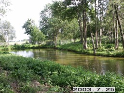 Dauksiagires_a_prie_dauks_002-64844ce4d278ed49d5ff7bf6053ef345.JPG