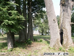 Dauksiagires_a_prie_dauks_009-ae2478b411825f0f1e216c8b686cc3bc.JPG