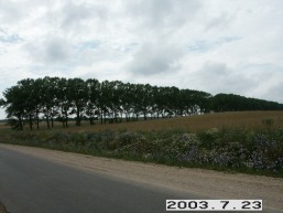 Daumantiskiu_a_ukme_daumant_017-09263fee79b83763bfdde82706ebb6e1.JPG
