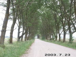 Daumantiskiu_a_ukme_daumant_019-533bdecffc73e60995cdbee146a55372.JPG