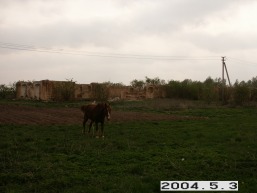 Daunoravos_a_joni_daun_041-fb4d157a074be4e8455252cec57acba5.JPG