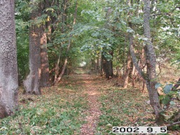Degsnio_a_uten_degs_004-b370c82a0c81d3c1e0924959c6c65132.jpg