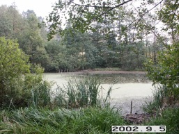 Degsnio_a_uten_degs_005-3b6f25f93786409ee9d354cf1475eae0.jpg