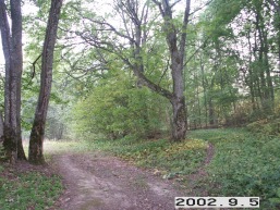 Degsnio_a_uten_degs_008-4942e5182b578586880648f92df1a8c7.jpg