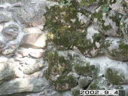 Didzioku-Didziadvario_a_mole_didz_002-ff92c4549f3021a357df0530492d6b21.jpg