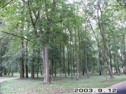 Dotnuvos-Akademijos_a_keda_dotnuv_002-23b70526c069a9f78e0226115876bba7.JPG
