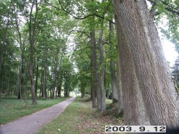 Dotnuvos-Akademijos_a_keda_dotnuv_003-f452600d47a2a257384547c2e904262c.JPG