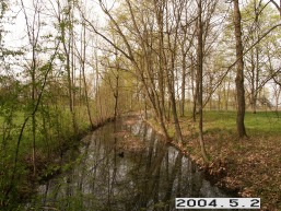 Dovydiskio_a_pakr_dovy_009-06bcbf417a75979fa7c095787ef9f242.JPG