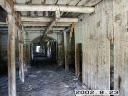 Duksto_a_igna_duks_003-594bcbb8fb2d80f1c777679987b86cb4.jpg