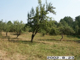 Duksto_a_igna_duks_010-63381a1d1bb346f9bba1835d674d6990.jpg