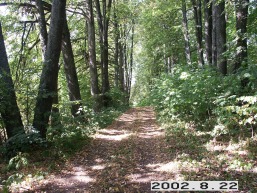 Duksto_a_igna_duks_012-41444d79fdd9bb3d3512699ac87e083a.jpg