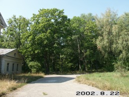 Duksto_a_igna_duks_020-e216ba5e26c4455bb77bd0375b6abf4a.jpg