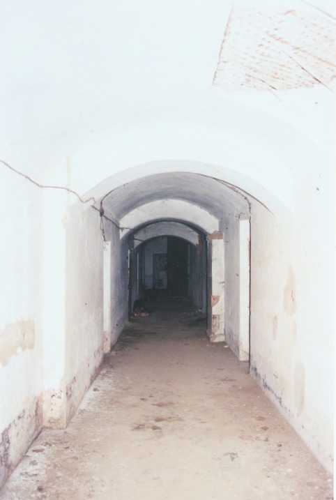 Galines_a_viln_galin_008-4cb7d8aaf96ed20a3848d1608856d929.jpg