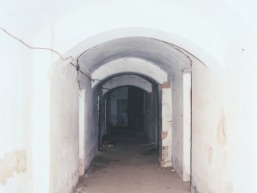 Galines_a_viln_galin_008-e36e3f598771c0af79e59ef799f6faee.jpg