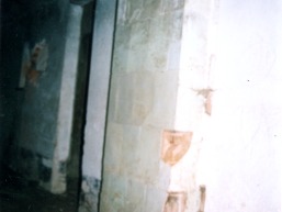 Galines_a_viln_galin_009-6847a1a4e362c6668a36f26ca3bb655d.jpg