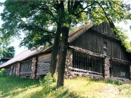 Galines_a_viln_galin_034-3989c2a83f534601f01197ad250194de.jpg