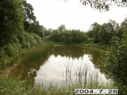 Geluciu_a_kelm_gelu_047-97ebf09b720dd1c2de66e662d2f029b1.JPG