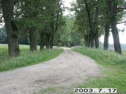 Gelvonu_a_sirv_gelvon_027-8e50989c02c9ba11a4ba5c7bcd29e75c.JPG