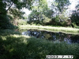 Gelvonu_a_sirv_gelvon_040-9dc1d162a2bd60e7e1e892b4ed4aaaa1.JPG
