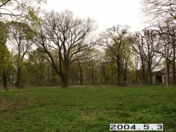 Geruciu-Glebavos_a_pakr_geru_004-4a7ed298efa70b23c538a2b0433a91b9.JPG