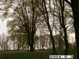Geruciu-Glebavos_a_pakr_geru_017-d9ee2e27b496f6d1b1615f2e97fc96ad.JPG
