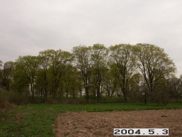 Geruciu-Glebavos_a_pakr_geru_020-ff09bcbb25e961bbdcc49f5ec5568b36.JPG