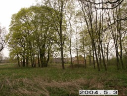 Geruciu-Glebavos_a_pakr_geru_034-82be12b551569fbcaa6997755f04b9e8.JPG