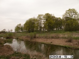 Geruciu-Glebavos_a_pakr_geru_061-56ce1d129379024661c9bfccb9cd52a2.JPG