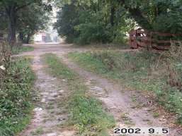 Girsteitiskio_a_mole_girs_002-7338a4e3cf8166b8142c3f975686d8bc.jpg