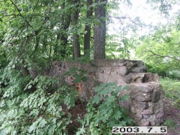 Gornostajiskiu_a_salc_gornost_058-ca5ff5c7d18e7c02d2bc6adedd086039.JPG