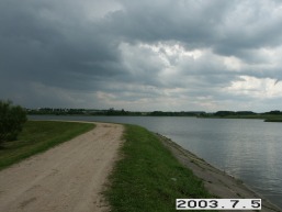 Gornostajiskiu_a_salc_gornost_060-4a54bb680c30634062d618d7996e988a.JPG