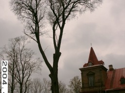 Grazioniu_a_radv_graz_002-54c8b6694a51cb8c952ca5b6f8581469.JPG