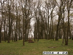 Grinkiskio_a_radv_grin_088-e45ea11ca432fc6dafbcee0d5c3af504.JPG