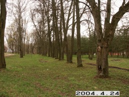 Grinkiskio_a_radv_grin_091-d89d26951aeb5c1e955316b775d589c6.JPG