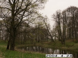 Grinkiskio_a_radv_grin_097-d92f654707ab2edafc5cb56bdc3e4f52.JPG