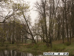 Grinkiskio_a_radv_grin_098-1680a788fc81a385b387ee5e9923288e.JPG