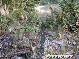 Griskauciznos-Griskiskos_a_igna_grisk_002-0d6840e7164390ed0ac452759132c12b.jpg